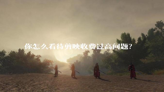 你怎么看待剪映收费过高问题？