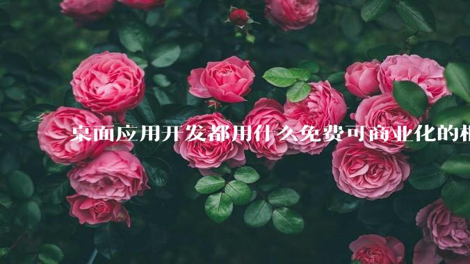 桌面应用开发都用什么免费可商业化的框架呢?